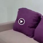 plus a rooftop terrace with city views.