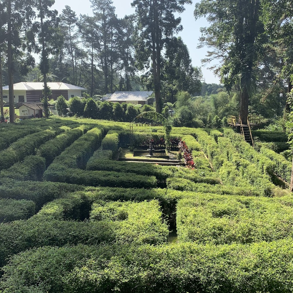 Taman Labirin Wanawisata Baturraden