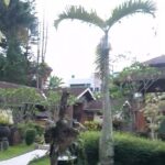 Casual rooms & suites