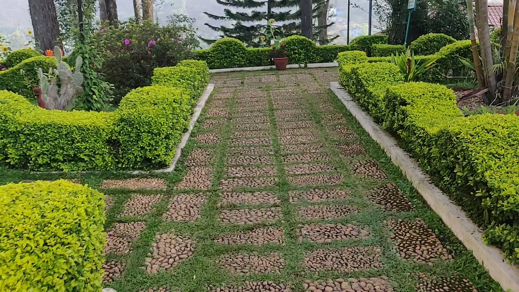 plus a modest restaurant & a gym.