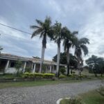 Timor Lodge Hotel & Residence