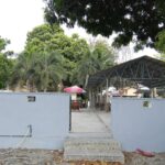 an airy restaurant & a bar.