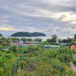 Utan Teluk Nipah Pulau Pangkor