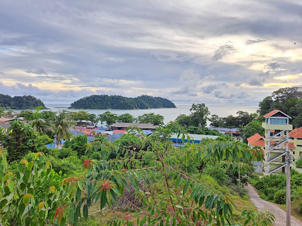 Utan Teluk Nipah Pulau Pangkor