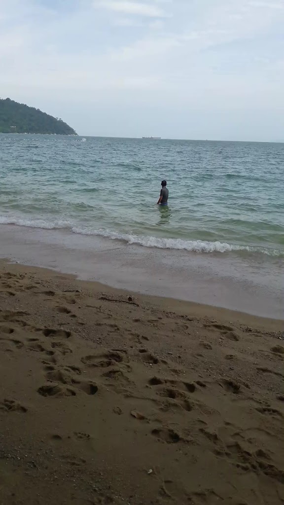 plus a courtyard garden.