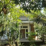 Villa Bamboo Sumbawa