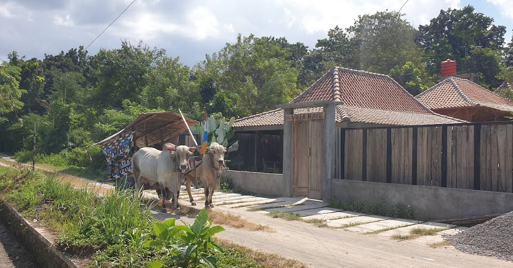 Villa Kayu Jogja
