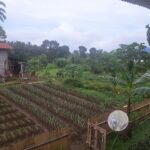 Villa and HomeStay Lokon Tomohon