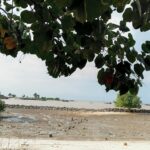 Wisata Bagan arya