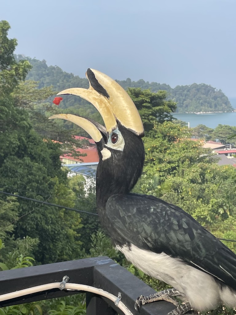 Woodcookies Guesthouse