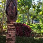 plus an outdoor pool