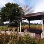 ARCA DWARAPALA ( Mbah Bodo )