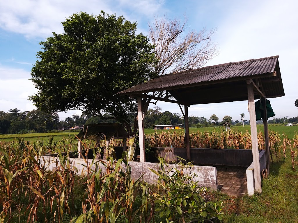 ARCA DWARAPALA ( Mbah Bodo )