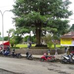 Alun - Alun Sapuran