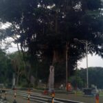 Urban park with a fountain offering walking & jogging trails alongside food carts & small play area.