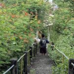 Round 16th-century fort ruins with panoramic views