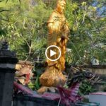 Cetiya Siwa Buddha Dharma Mahayana adalah tempat ibadah dan pusat kegiatan spiritual bagi umat Hindu dan Buddha di Denpasar