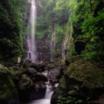 - (10rb tiket perhutani & 3rb kontribusi percepatan akses jalan yg dikelola pemerintah desa)