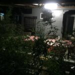 De IKUT BOJO HOMESTAY