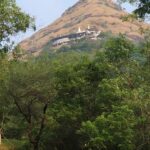 Digamber Jain Mandir Mhasrul