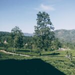 The Gunung Padang Megalith site is a site in the form of a punden building consisting of 5 floors / terraces that are thousands of years old in the Cianjur Regency