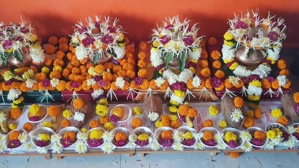 Kaal Sarp Puja Trimbakeshwar | Pandit Shivkant Guruji