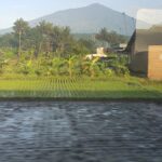 Lawang