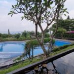 a restaurant & a cafe