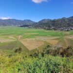 Lingko Spider Web Rice Fields