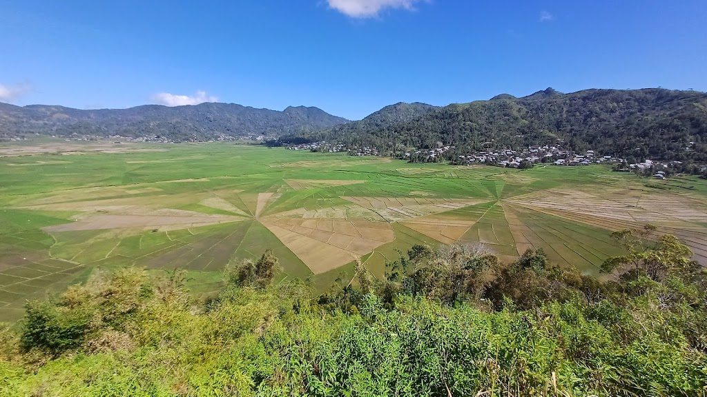 Lingko Spider Web Rice Fields