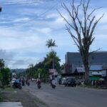 Mahanaim Hotel dan Homestay Manokwari