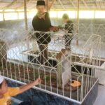 Makam Wali Mbah Abu Khoiri Bin Dawud