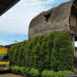 PENGINAPAN / HOMESTAY KAYU MANIH