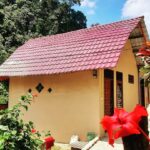 Penginapan & hotel sinar accomodation