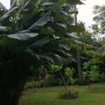 Discover a world of sophisticated living and comfort