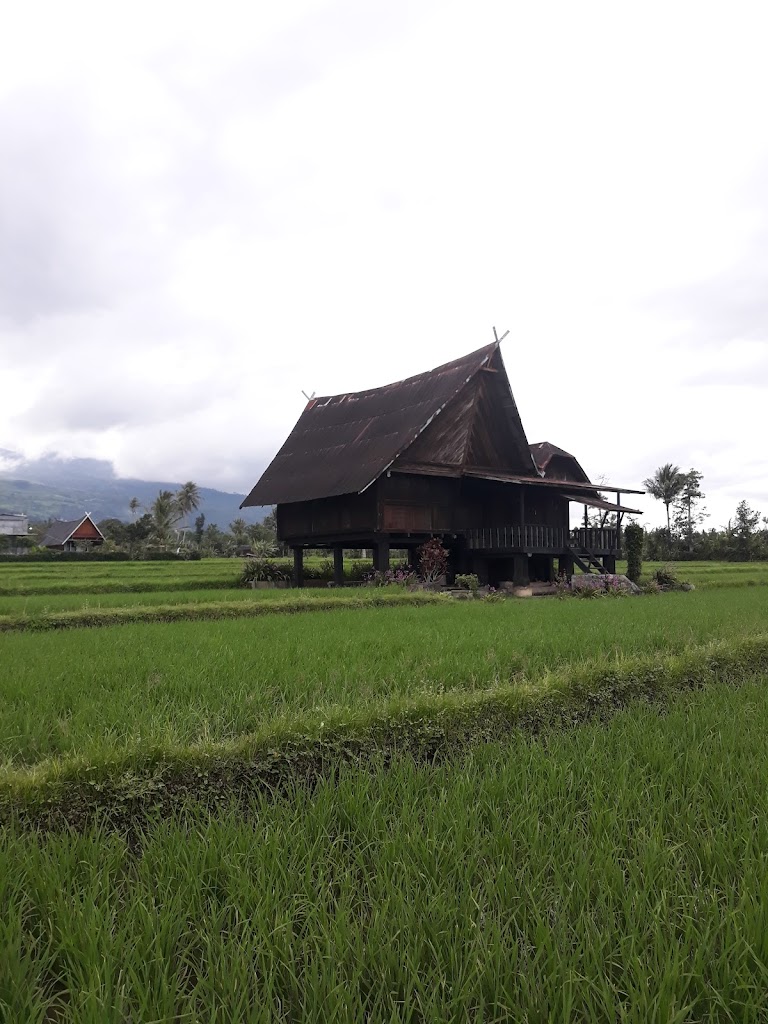 Rumah Adat Pagar Alam