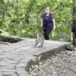 The Monkey Forest in Ubud is a lush