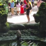 enchanting sanctuary nestled in the heart of Bali. Officially known as the Sacred Monkey Forest Sanctuary