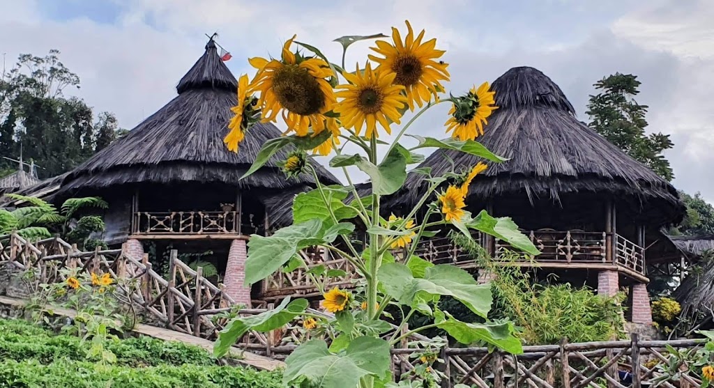 Sari Puntang