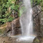 "Aku berada di hutan