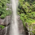 hutan ku dari dahulu hingga saat ini asri