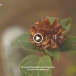 jangan kotori aku dengan sikap acuhmu