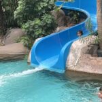 2 bars & an outdoor swimming pool.