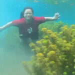 Calm destination with clear