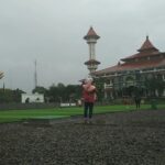 paved with artificial lawn