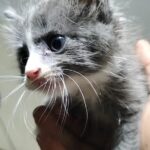 Landmark sculpture of hands holding an intricate