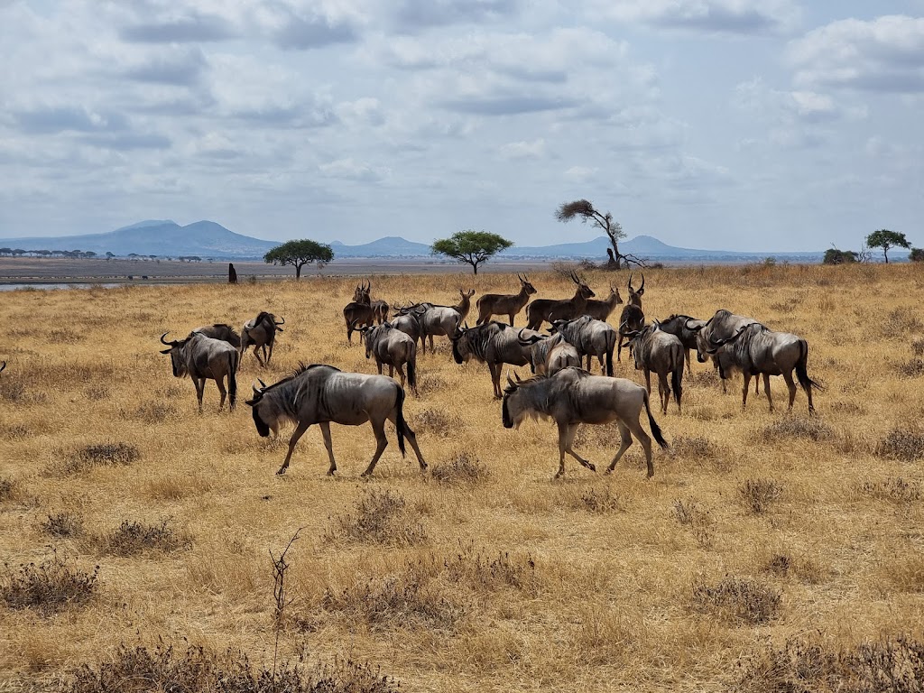 Tarangire National Park