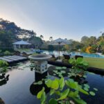 The Lotus Residence