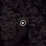 an infinity pool & a fitness center