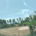 Vihara Sempurna Maitreya Mentok